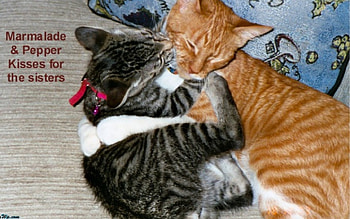 Love, life HD wallpaper