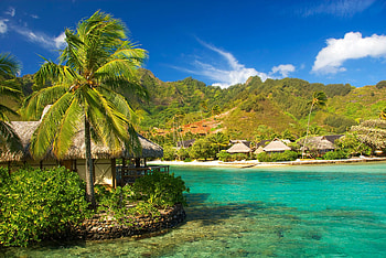 Moorea island, Tropical escapade, Pristine beaches, Natural serenity HD wallpaper