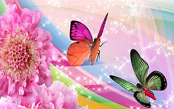 butterflies, abstract, fun, animals HD wallpaper