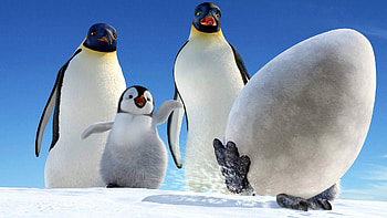 Happy Feet , backgrounds, High resolution HD wallpaper