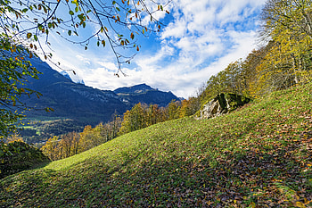 Landscape, Nature, Mountains, Forest, Branches, Slope HD wallpaper