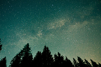 Nature, Trees, Stars, Starry Sky, Space HD wallpaper