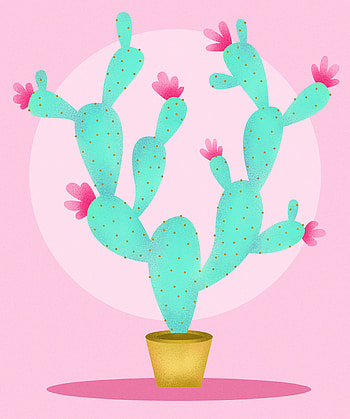 Flowers, Art, Pink, Cactus HD phone wallpaper