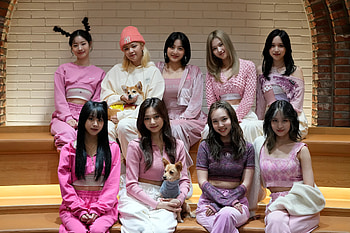 TWICE: Global popularity, US tour plans, Basking in success HD wallpaper