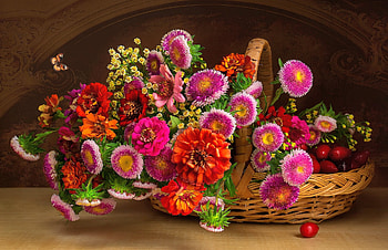Still Life, Flower, Basket HD wallpaper