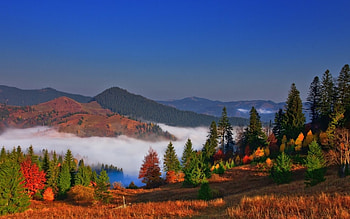 Foggy Mountain, fog, fall, trees, colors, autumn, sky, nature, mountains HD wallpaper