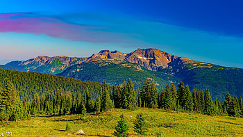 Beautiful Scenery Green Spruce Trees Forest Rock Mountains Bushes Grass Field In Blue Sky Background Nature HD wallpaper