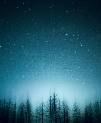 Nature, Trees, Pine, Night, Blur, Smooth, Starry Sky HD phone wallpaper