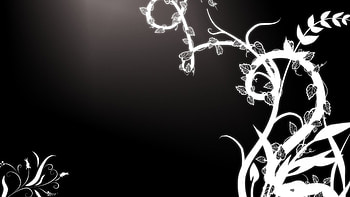 Pretty Black and White Backgrounds | Use any of these black and white that HD wallpaper