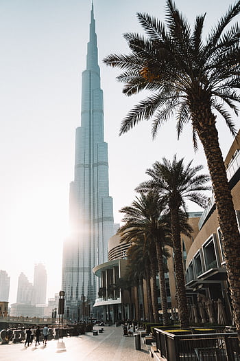 Sunlit view of Burj Khalifa surrounded by palm trees and modern architecture in Dubai. HD phone wallpaper