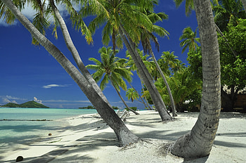 French Polynesia, , Stunning backgrounds, Tropical paradise HD wallpaper