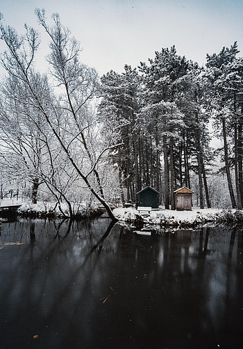 Winter, Nature, Rivers, Trees, Snow, Structure HD phone wallpaper