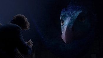Fantastic Beasts, U3D Blu-ray, Movie review HD wallpaper