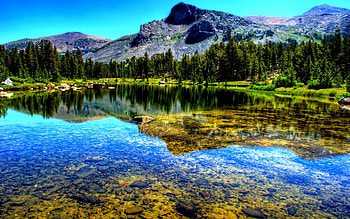 PINE FOREST LAKE, pines, clear, forest, lake, mountain HD wallpaper