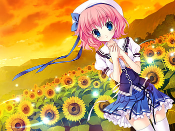 Sunflower, mitha, himezono risa, landscape, cute, girl, anime girl, scenery, anime, cool, sunset HD wallpaper