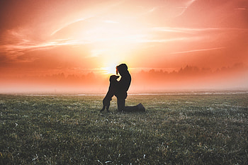 Silhouette, Miscellanea, Miscellaneous, Dog, Fog, Field, Human, Person HD wallpaper