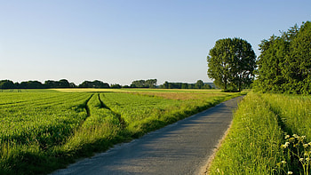 Landscape, Fields, Roads HD wallpaper