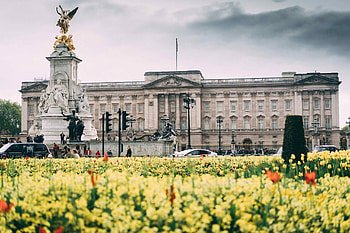 Buckingham Palace, London, Steckbrief, Geschichte HD wallpaper