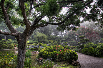 Nature, Trees, Garden, Haze, Shrubs, Track HD wallpaper