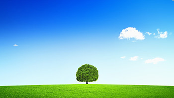 Simple design, Minimalist beauty, Subtle elegance, Serene aesthetic HD wallpaper