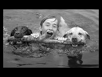 Boy with dogs, dogs, boy HD wallpaper