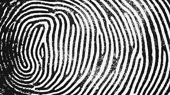 Stylish Fingerprint for Modern Aesthetics, pattern, Black & White, texture, lines HD wallpaper