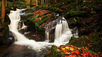 Waterfall in the Auvergne, France, trees, cascades, river, rocks, stones HD wallpaper