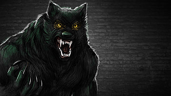 Werewolf , backgrounds, Captivating visuals, Dark essence HD wallpaper