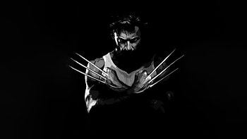 Wolverine Monochrome , wolverine, superheroes, artwork, monochrome, digital-art HD wallpaper