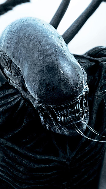 Alien: Covenant (2022) movie HD phone wallpaper
