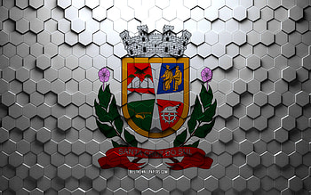 Flag of Santa Cruz do Sul, honeycomb art, Santa Cruz do Sul hexagons flag, Santa Cruz do Sul 3d hexagons art, Santa Cruz do Sul flag HD wallpaper