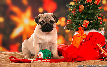 40 Animated Christmas for | Snowmen . HD wallpaper