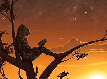 Fantasy, leopard, life, happy, jungle, cheetah, female HD wallpaper