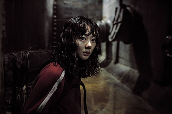 Bae Doona, Movies, The Host, DVD review HD wallpaper