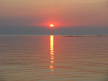 sunrise over the Black Sea, sea, nature, sunrise, beauty HD wallpaper