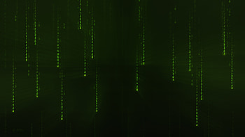 The Matrix Code, coding, text, green background, the matrix, 3d HD wallpaper