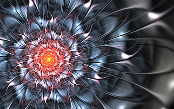 Abstract, Bright, Petals, Fractal, Glow HD wallpaper