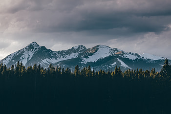 Nature, Trees, Sky, Mountains, Snow, Vertex, Tops HD wallpaper