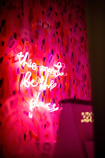 Pink, Words, Neon, Inscription HD phone wallpaper