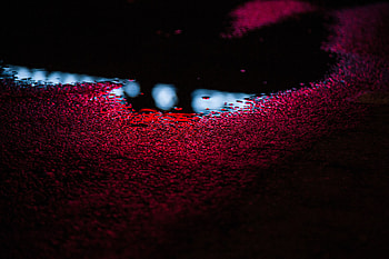 Macro, Shine, Light, Moisture, Puddle HD wallpaper