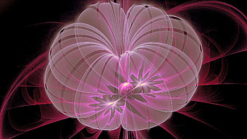 Abstract, Flower, Shine, Light, Form, Circle, Shroud HD wallpaper