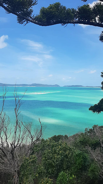 Whitsunday Islands, Whitehaven beach, Queensland beauty, Australia HD phone wallpaper