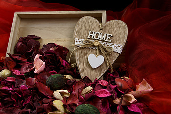 Love, Petals, Heart, Letters HD wallpaper