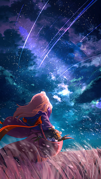 Bari On A Starlit Night : R GuardianTales, Guardian Tales HD phone wallpaper