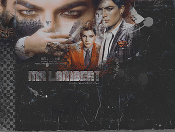 Mr.Adam Lambert, ol, lol HD wallpaper