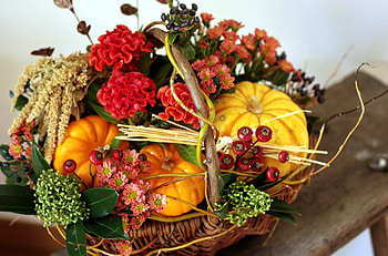 Flowers, Berries, Pumpkin, Basket, Composition, Amaranth HD wallpaper
