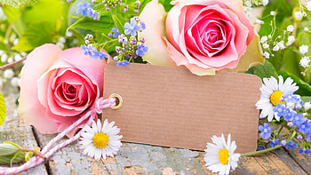 Romantic Roses, card, pink, flowers, roses HD wallpaper