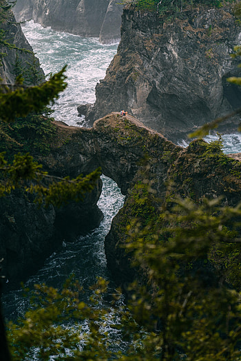 Nature, Rivers, Trees, Mountains, Rocks, Branches, Gorge HD phone wallpaper