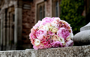 Flowers, Roses, Peonies, Bouquet, Ball, Tenderness, Marble HD wallpaper