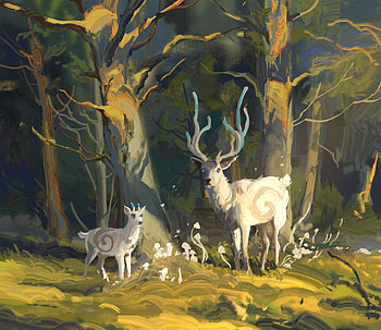 fantasy, deer HD wallpaper